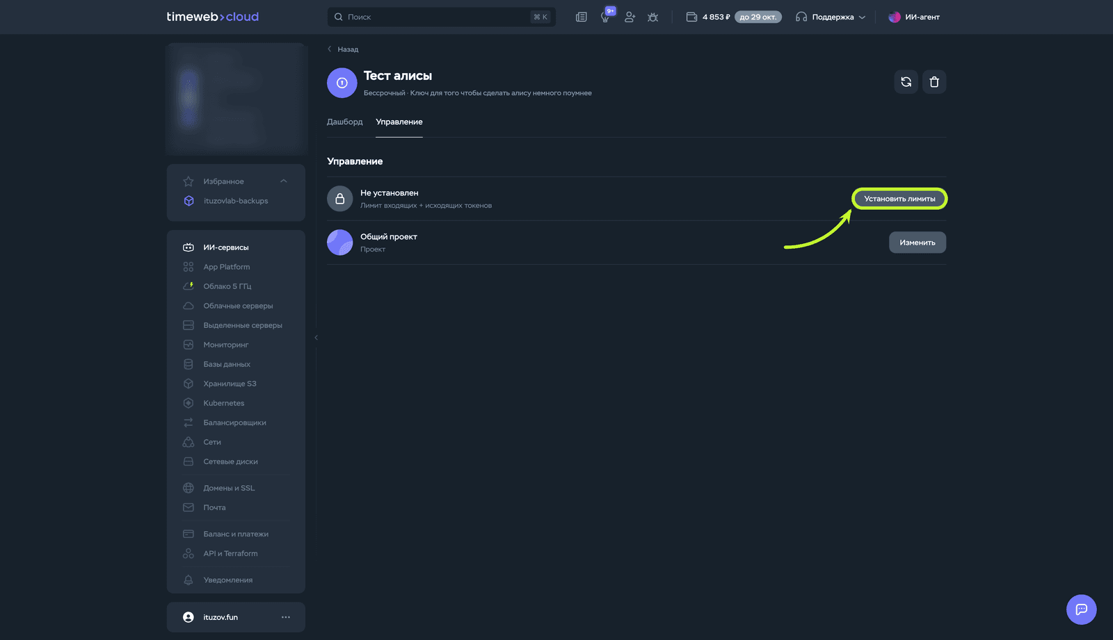 Вкладка «Управление» у ключа AI Gateway, кнопка «Установить лимиты» обведена